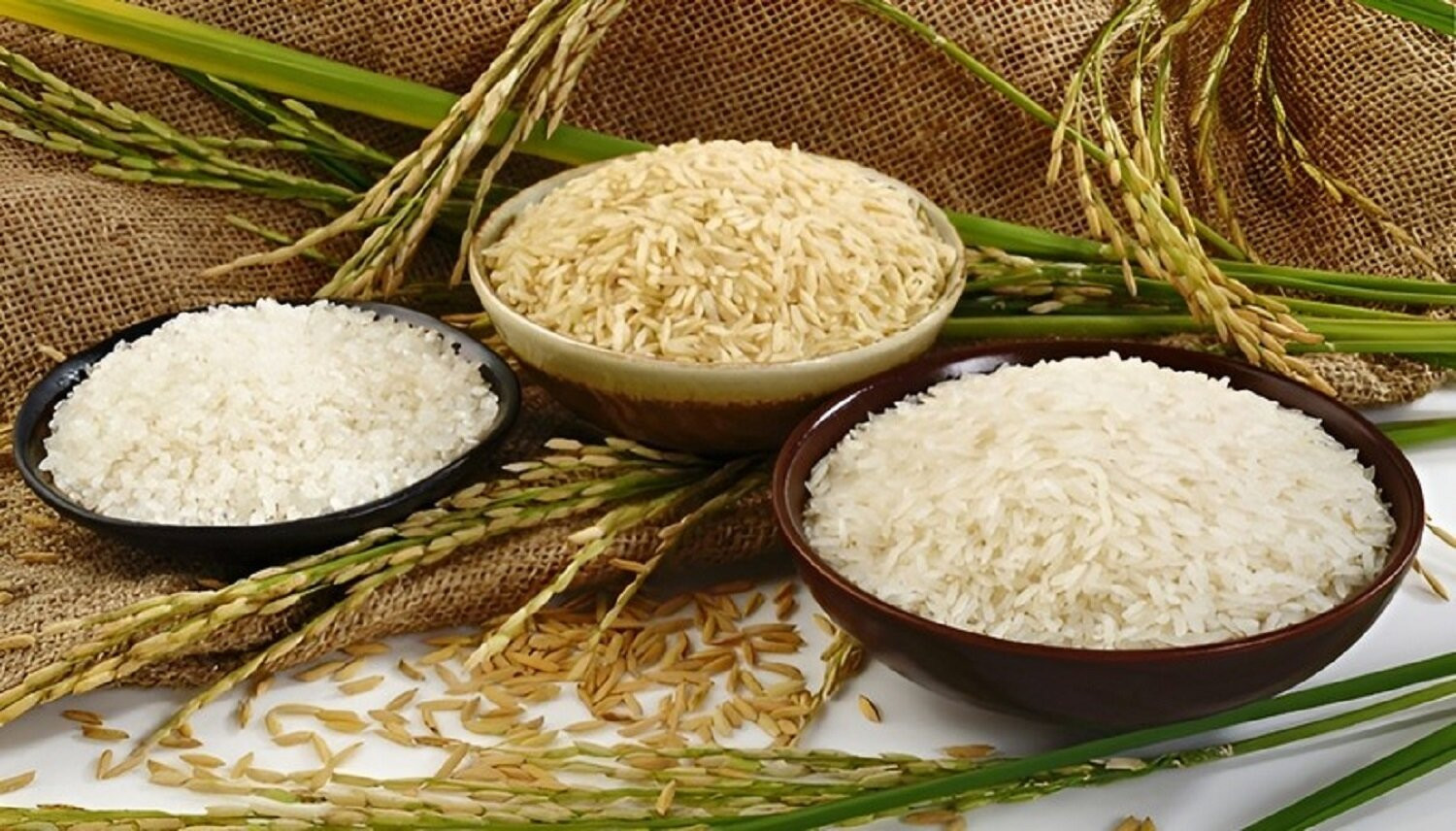 Gạo Việt được công nhận là gạo ngon nhất thế giới.