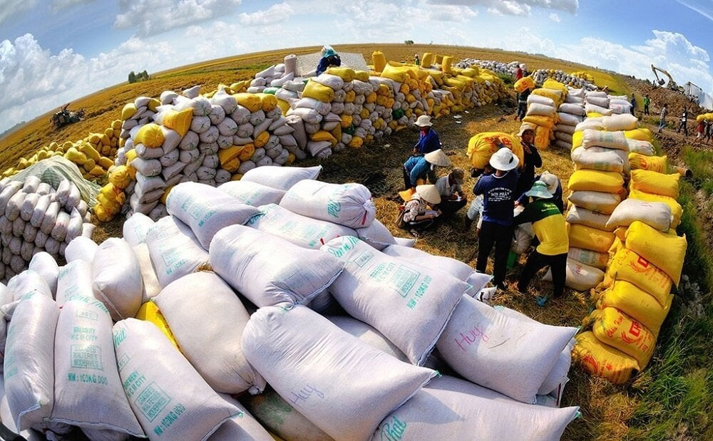Giá gạo xuất khẩu đạt kỷ lục, dự kiến tiếp tục duy trì ở mức cao thời gian tới. (Ảnh minh họa).