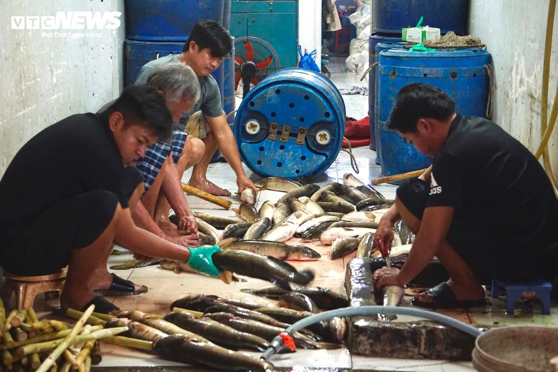 Quán vỉa hè thuê 40 người xuyên đêm nướng 4 tấn cá lóc bán ngày vía Thần Tài - 2