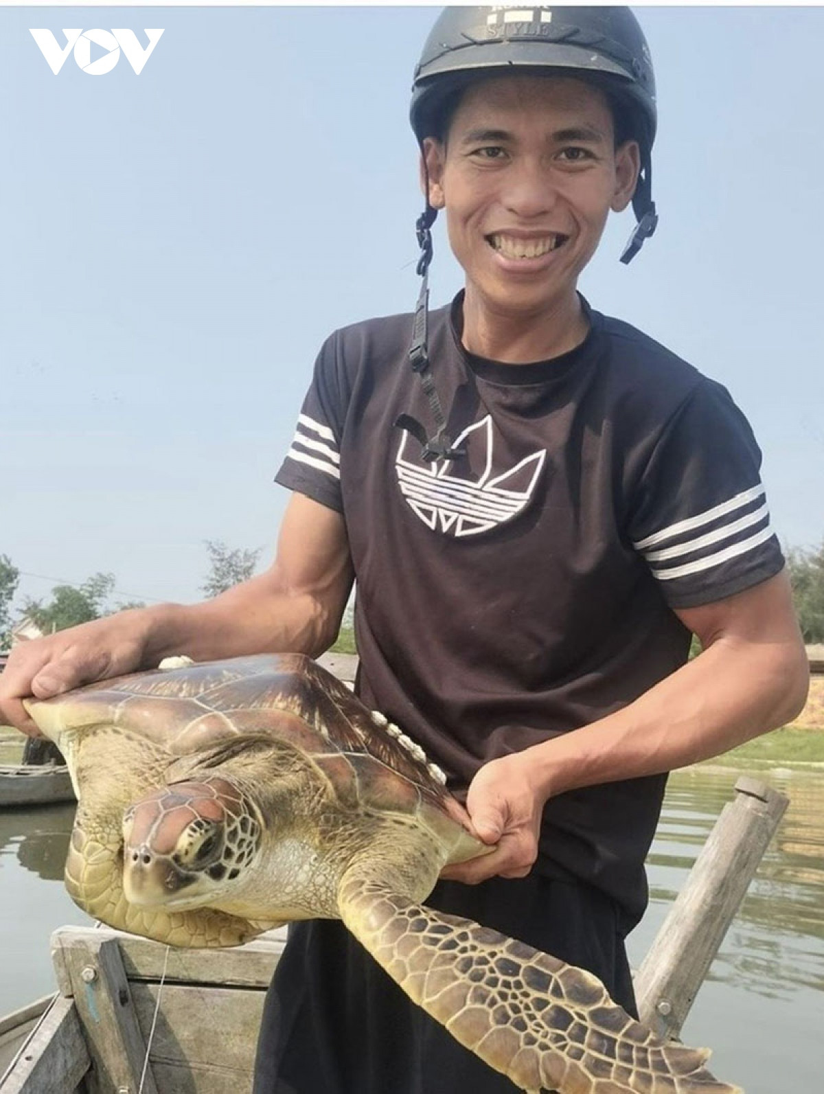 Tổng hợp 35 loại rùa nước ngọt được nuôi nhiều nhất tại Việt Nam