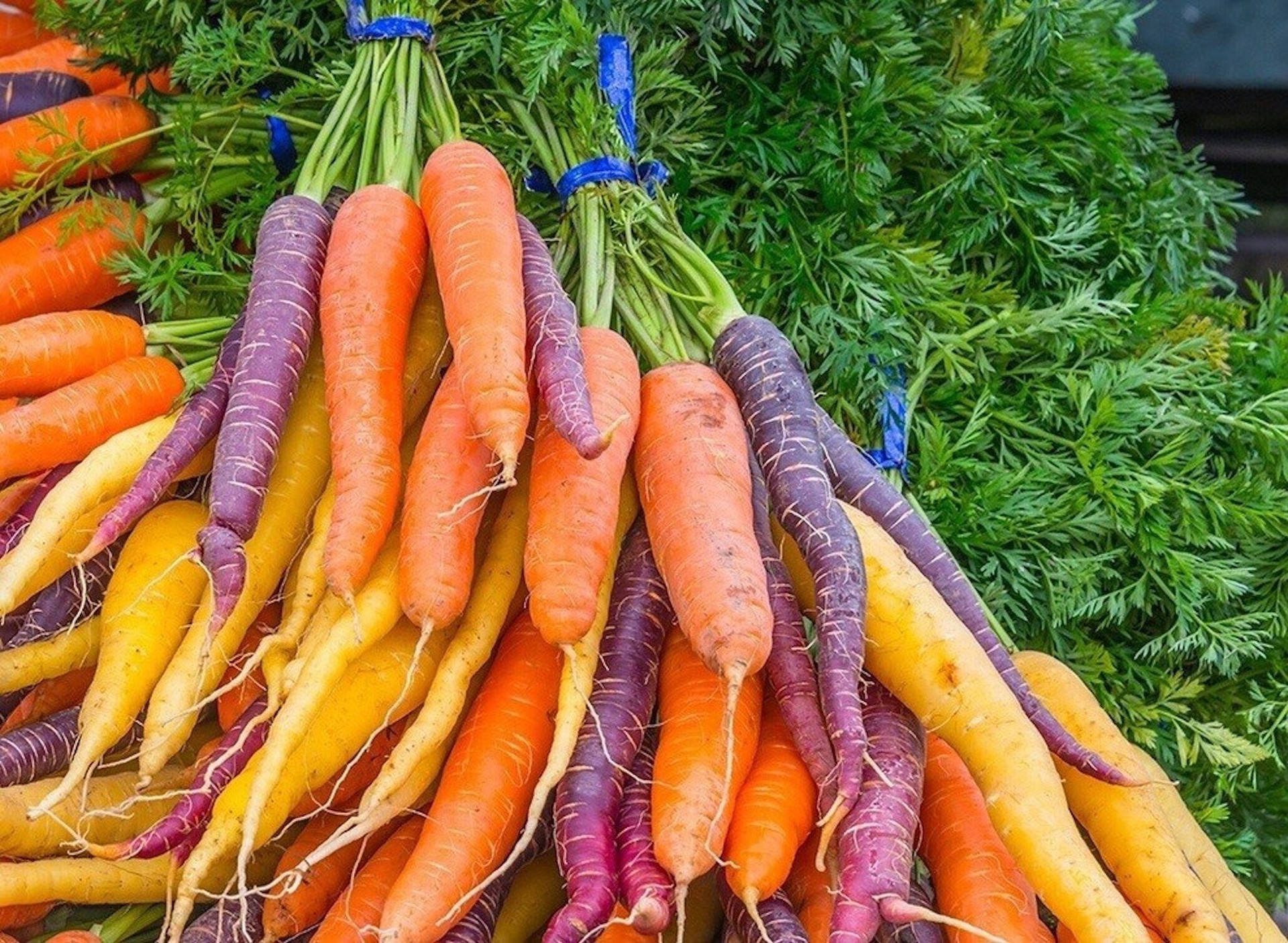 Lợi ích tuyệt vời của cà rốt với sức khỏe - 1
