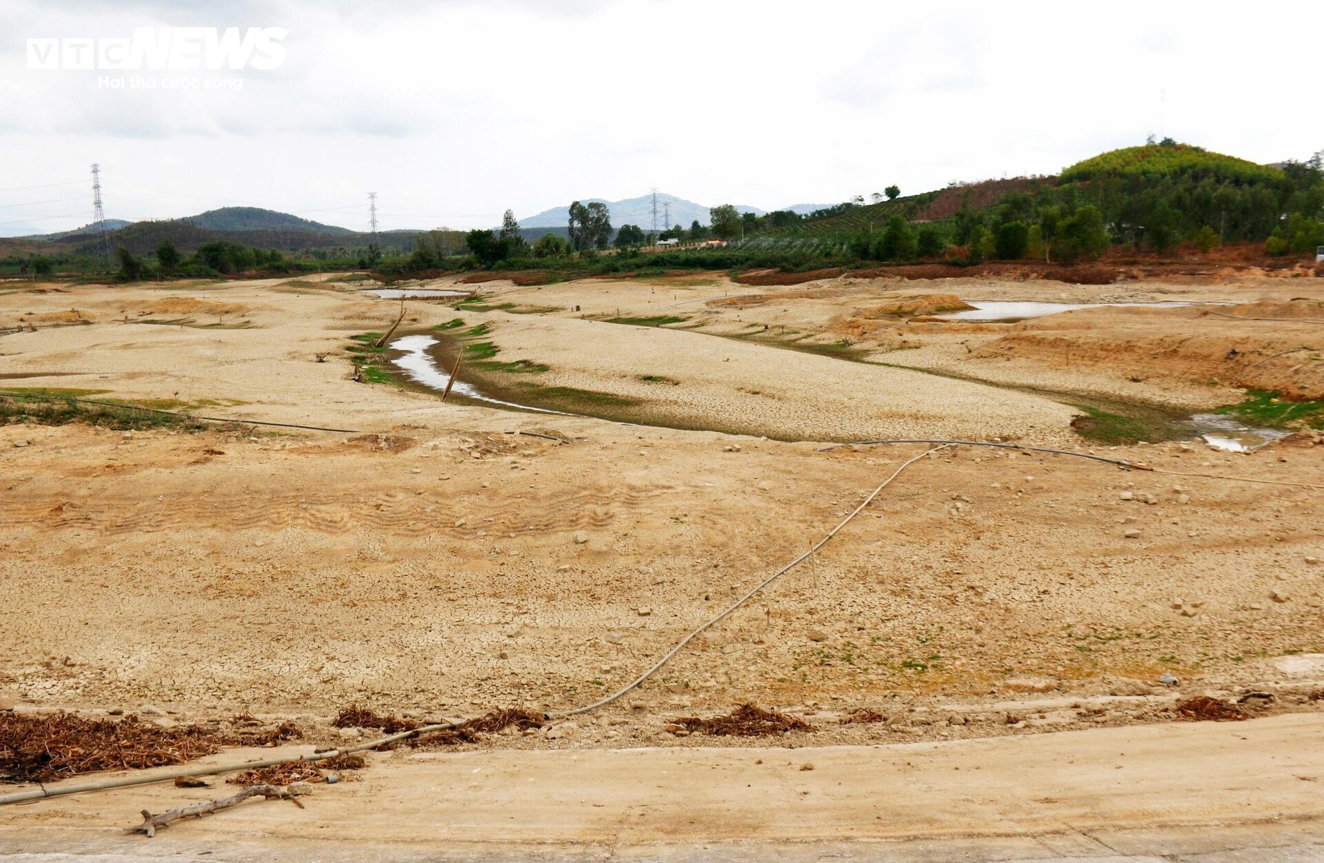  Cao điểm hạn hán tại Ninh Thuận, Bình Thuận: Hồ trơ đáy, cá chết khô - 5