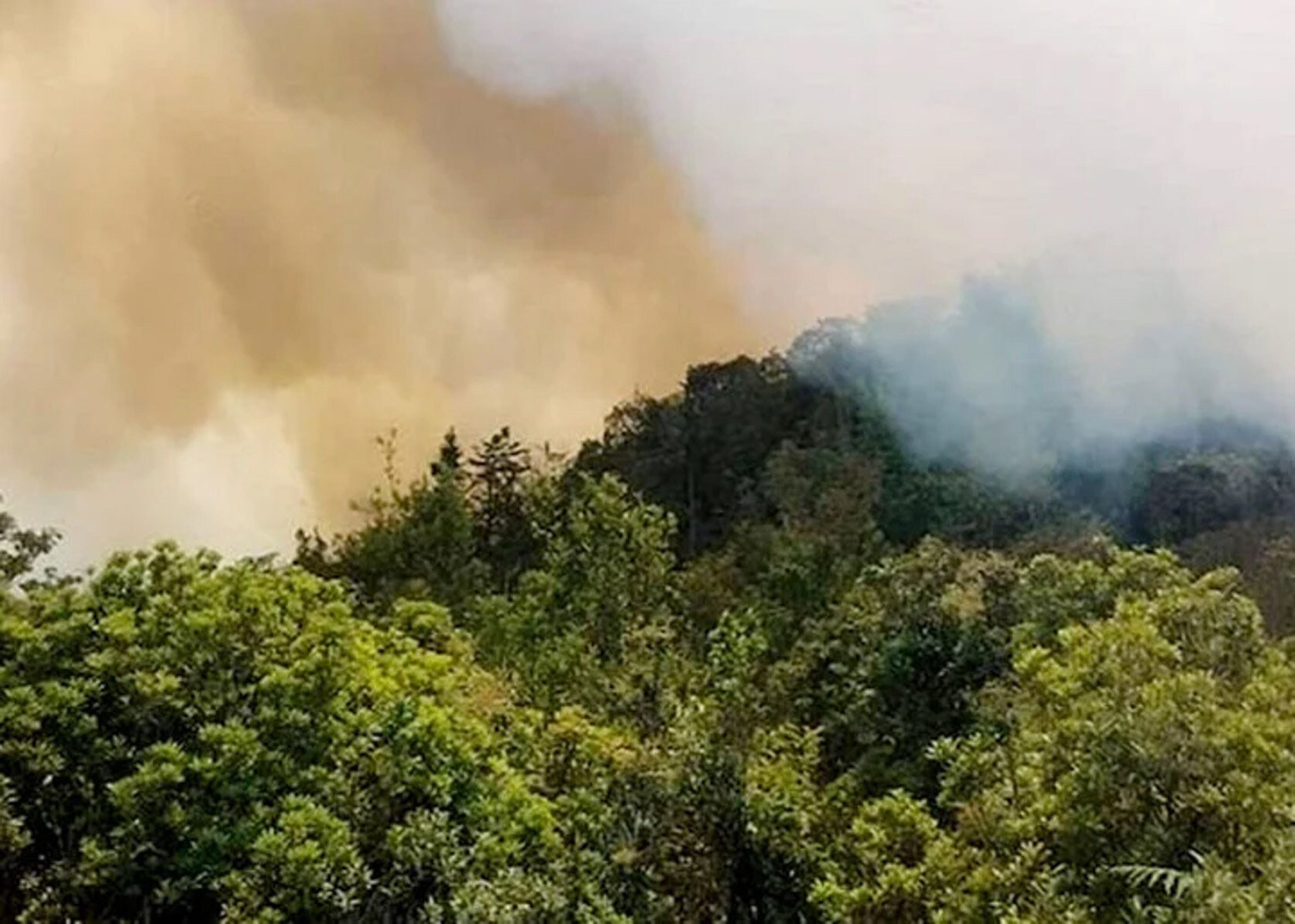Vụ cháy rừng ở Hà Giang hôm 26/4 khiến 2 cán bộ kiểm lâm tử vong.