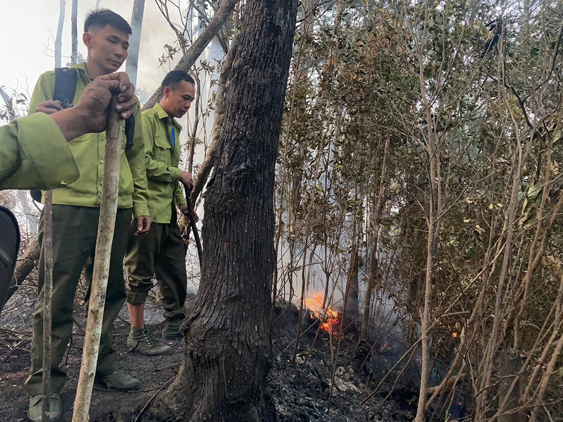 Lào Cai: Căng sức chữa cháy, cứu quần thể pơ mu lớn nhất huyện Văn Bàn - 5