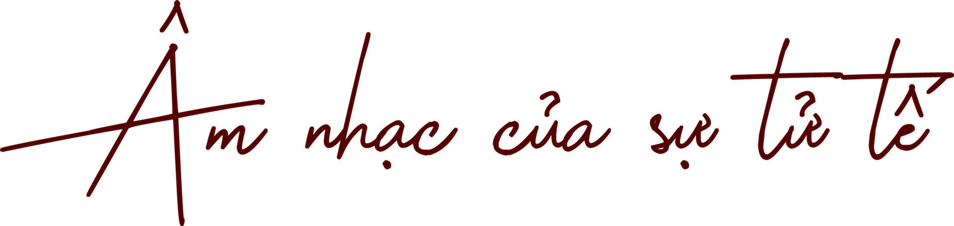 Hà Anh Tuấn: 'Dân chơi phải khoe cứu được bao nhiêu người' - 4