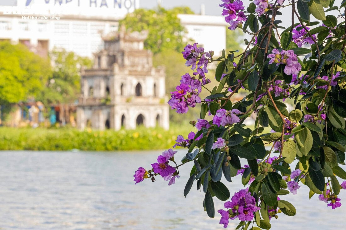 Dù đã lập Hạ được gần 20 ngày nhưng thời tiết miền Bắc những ngày này vẫn mát mẻ. (Ảnh minh hoạ: Minh Đức)