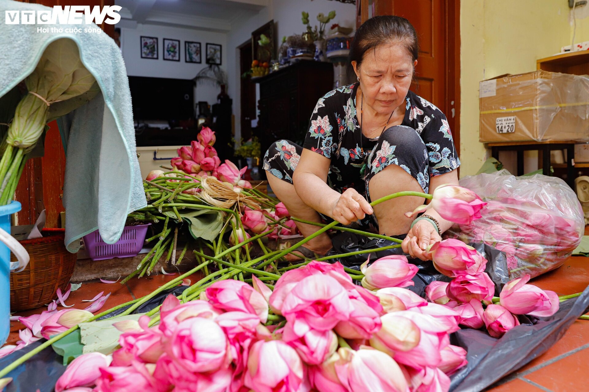 Cận cảnh quy trình ướp loại trà sen đắt đỏ nhất Hà thành, giá chục triệu đồng/kg - 4