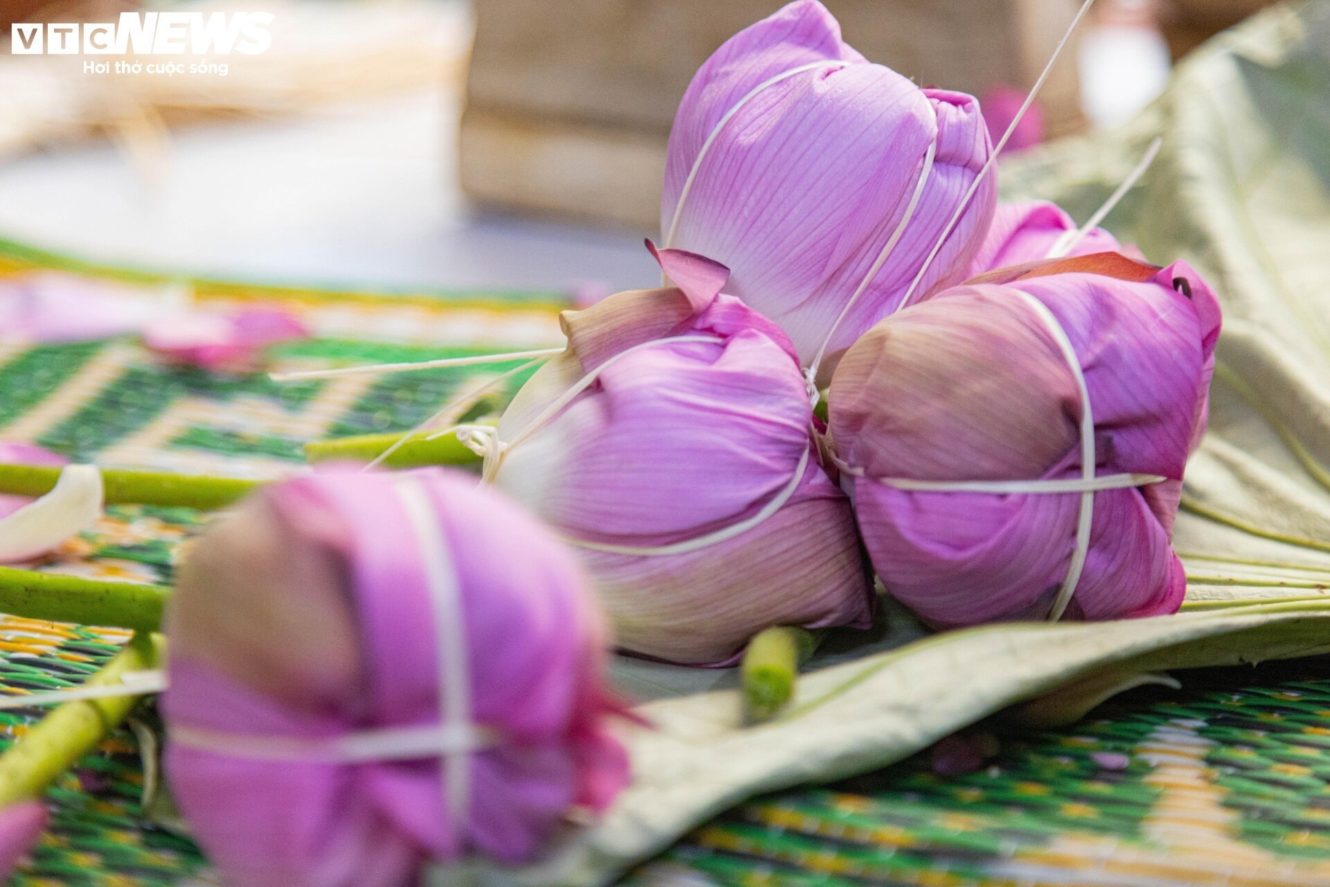 Cận cảnh quy trình ướp loại trà sen đắt đỏ nhất Hà thành, giá chục triệu đồng/kg - 15