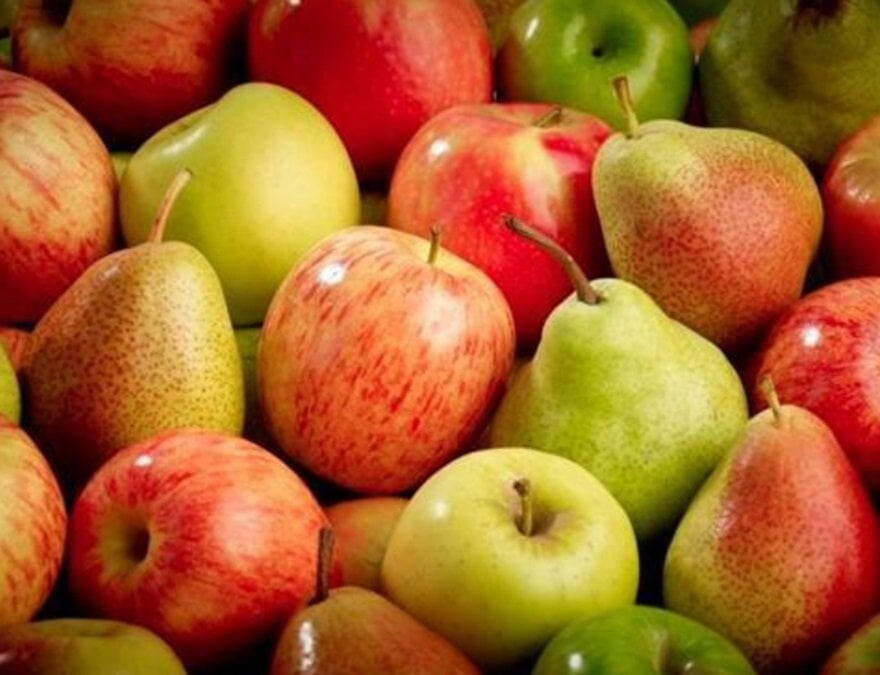 Lê và táo là những loại quả thường bị ngâm hoá chất để bảo quản được lâu dài (Ảnh: Fruitnet)