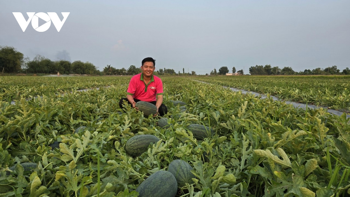 kenh muong vung ngot o tien giang bong dung bi nhiem man hinh anh 2