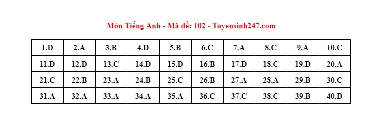 Dap an de thi tieng anh ky thi tuyen sinh lop 10 tai ha noi nam 2024 hinh anh 1