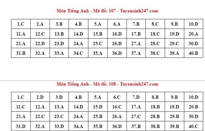 Dap an de thi tieng anh ky thi tuyen sinh lop 10 tai ha noi nam 2024 hinh anh 3