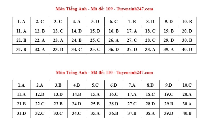 Dap an de thi tieng anh ky thi tuyen sinh lop 10 tai ha noi nam 2024 hinh anh 4