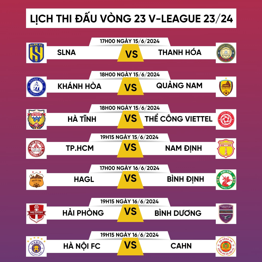 lich thi dau vong 23 v-league 2023 2024 hagl va ha noi fc gap kho hinh anh 1