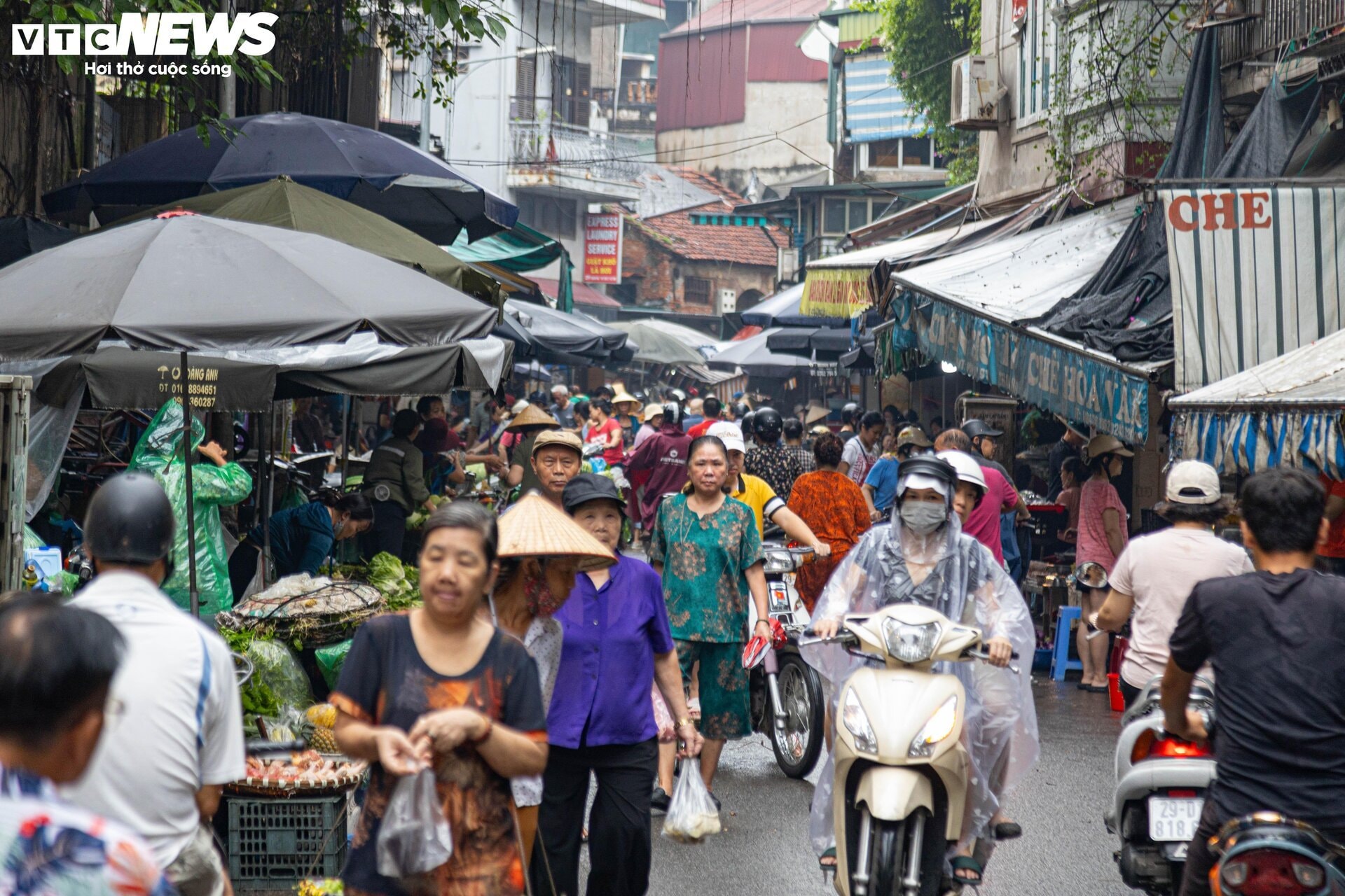 Tết Đoan Ngọ 2024: Rượu nếp cháy hàng, vải thiều và mận hậu đội giá  - 14