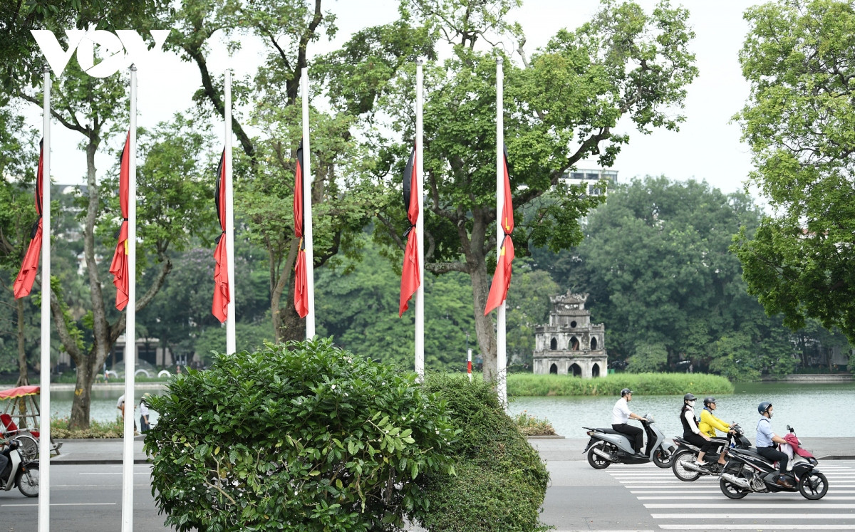 co quan cong so, nha dan dong loat treo co ru quoc tang tong bi thu nguyen phu trong hinh anh 13