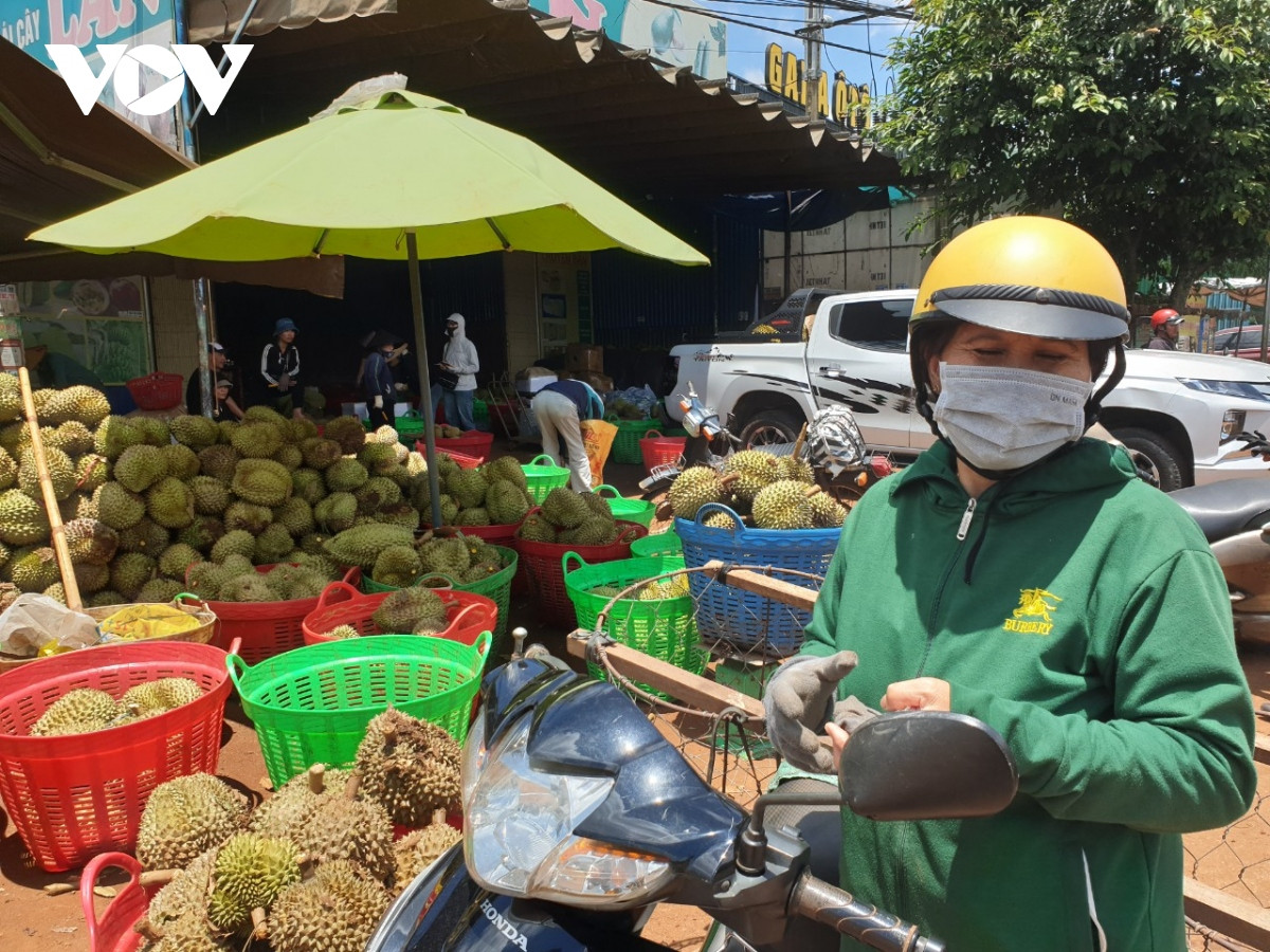 nguoi trong sau rieng lo lang vi mua keo dai, trai non rung nhieu, kho tieu thu hinh anh 8