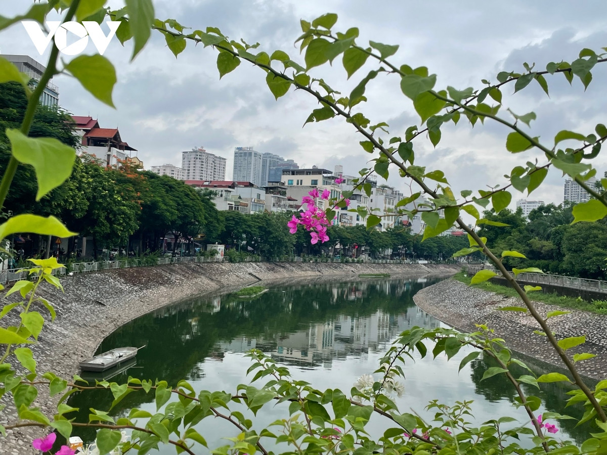 nguoi ha noi ngo ngang khi nuoc song to lich chuyen mau xanh hinh anh 9