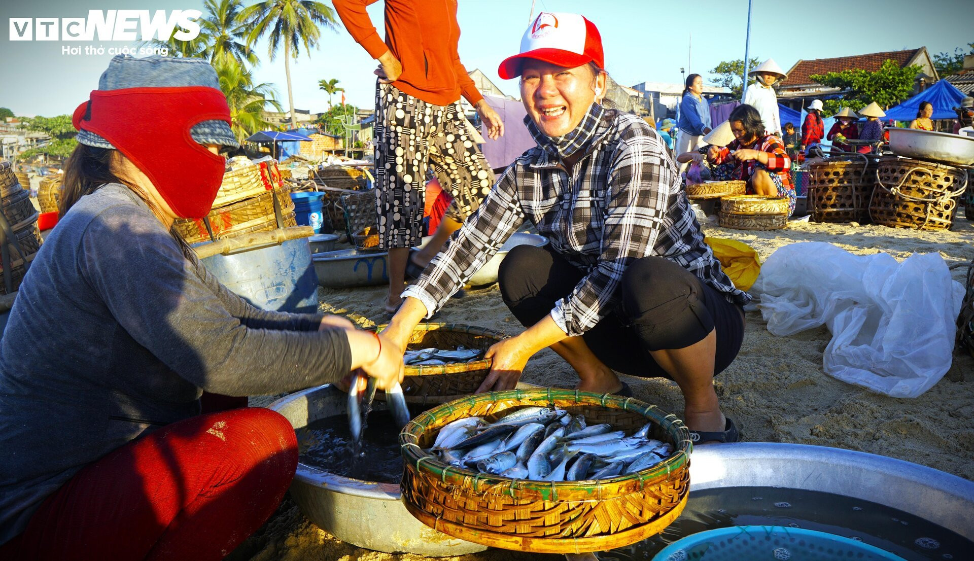 Bình minh tấp nập tại chợ hải sản ngay chân sóng ở Bình Định - 8