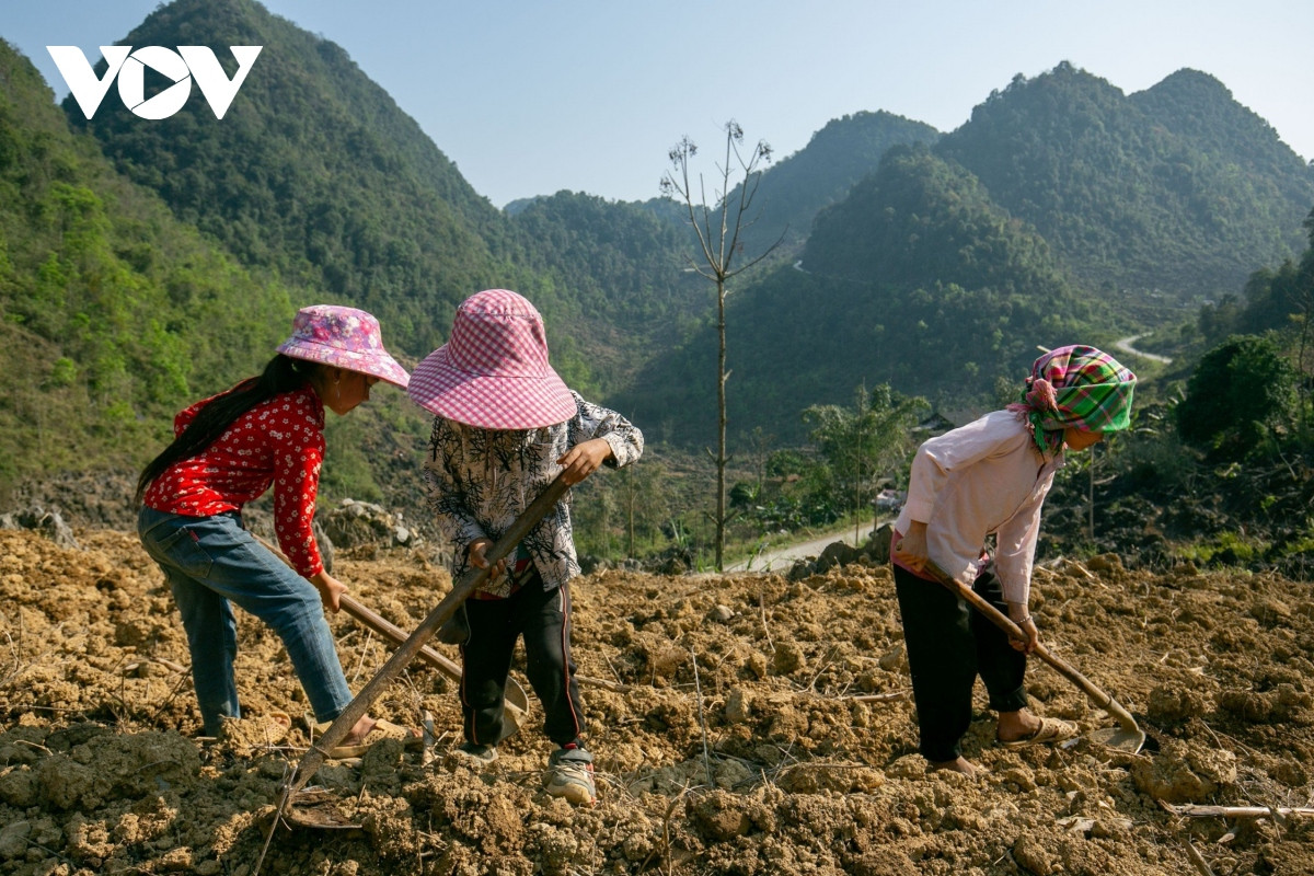 nhung nguoi vo an chua no, lo chua toi o ha quang, cao bang hinh anh 5