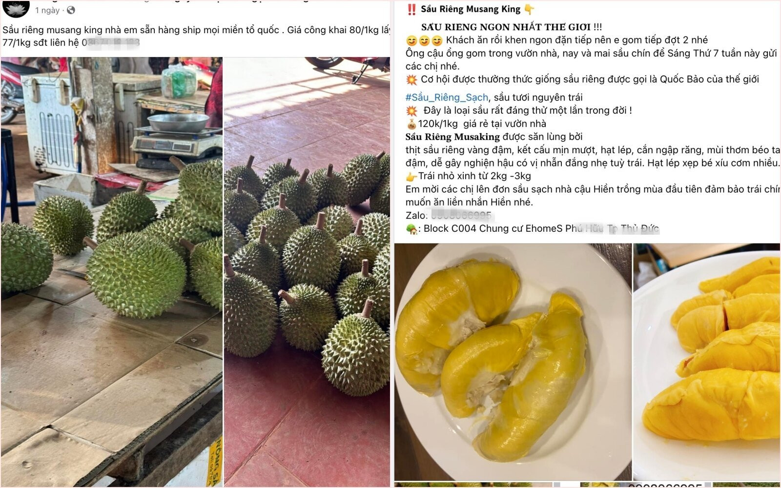 Sầu riêng Musang King được rao bán với giá 80.000 đồng/kg trên chợ mạng. (Ảnh chụp màn hình).