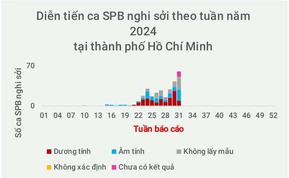 Biểu đồ diễn tiến ca bệnh sốt phát ban nghi sởi tại TP.HCM năm 2024. (Ảnh: Sở Y tế TP.HCM)