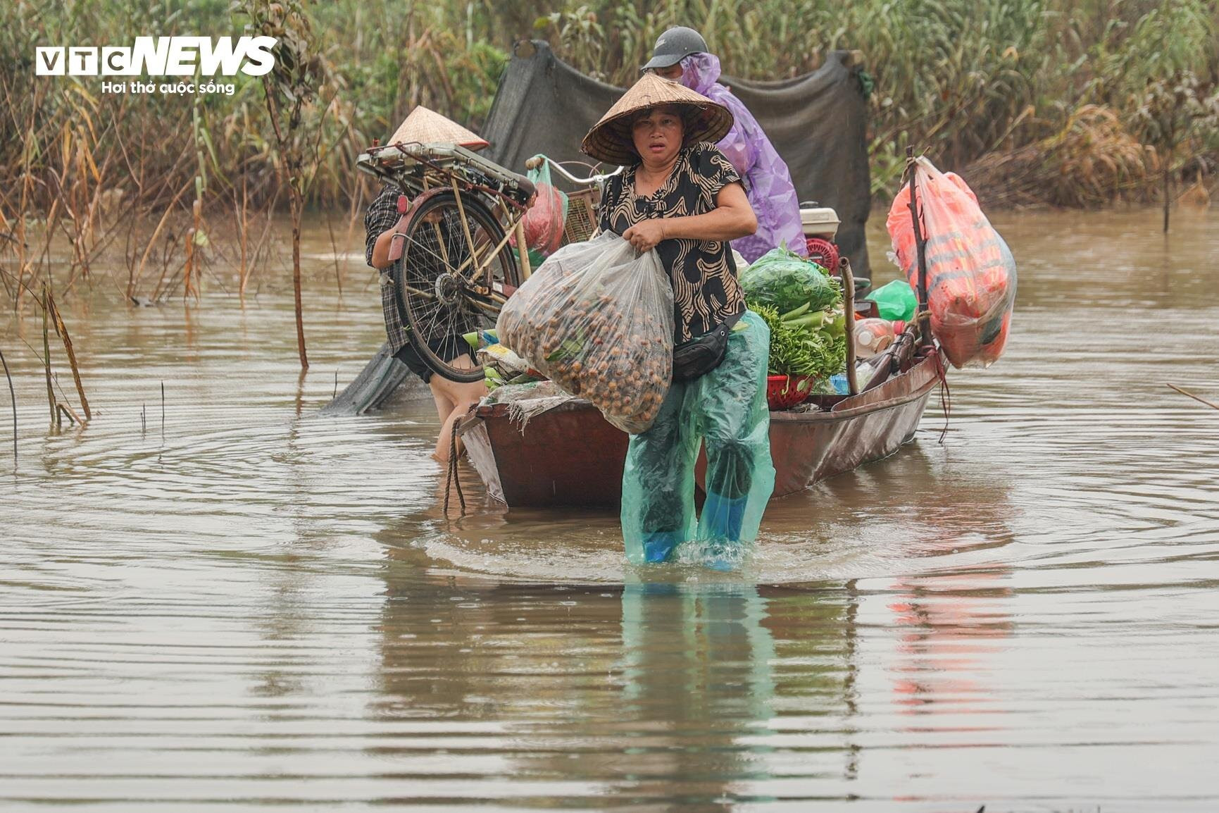 Nước lũ dâng cao, nông dân bãi giữa sông Hồng chèo thuyền mang nông sản đi bán - 8