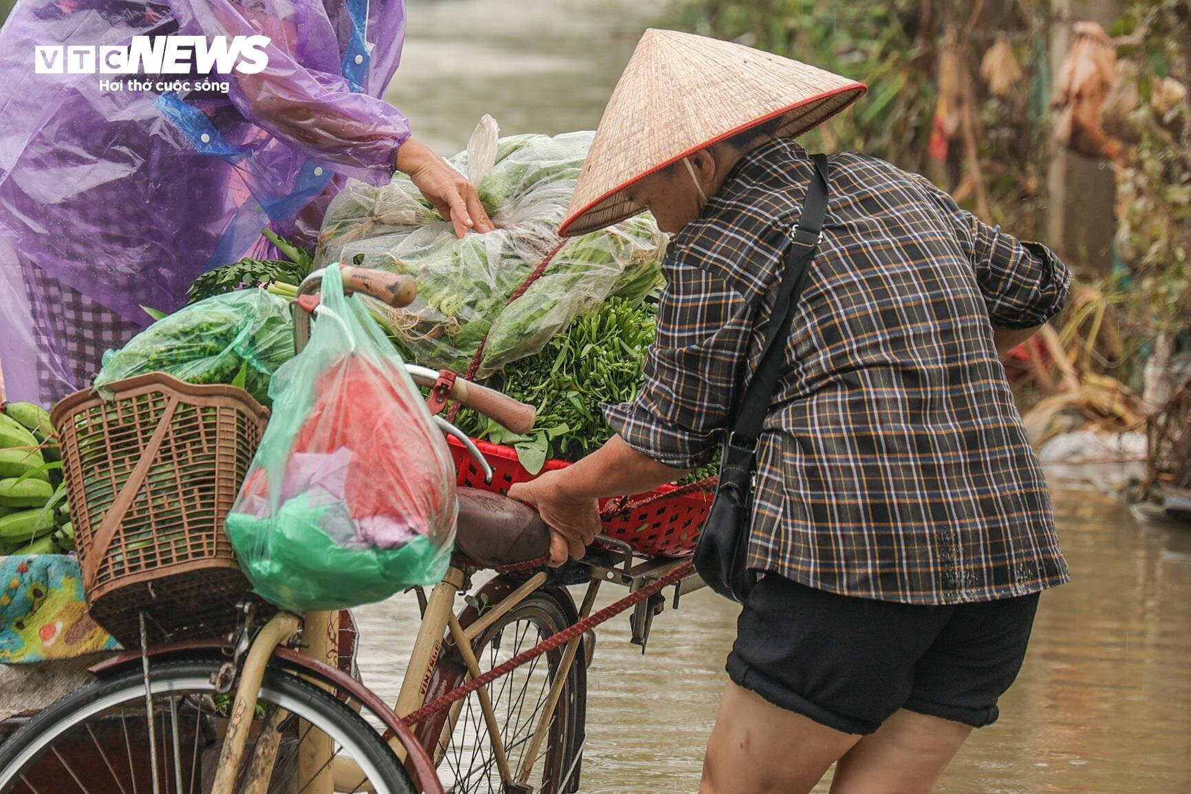 Nước lũ dâng cao, nông dân bãi giữa sông Hồng chèo thuyền mang nông sản đi bán - 10