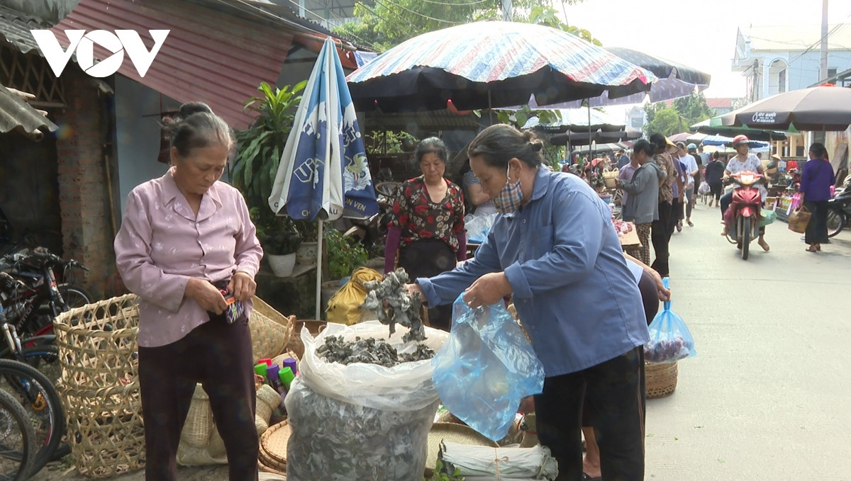 nhon nhip cho ram thang 7 vung cao hinh anh 2