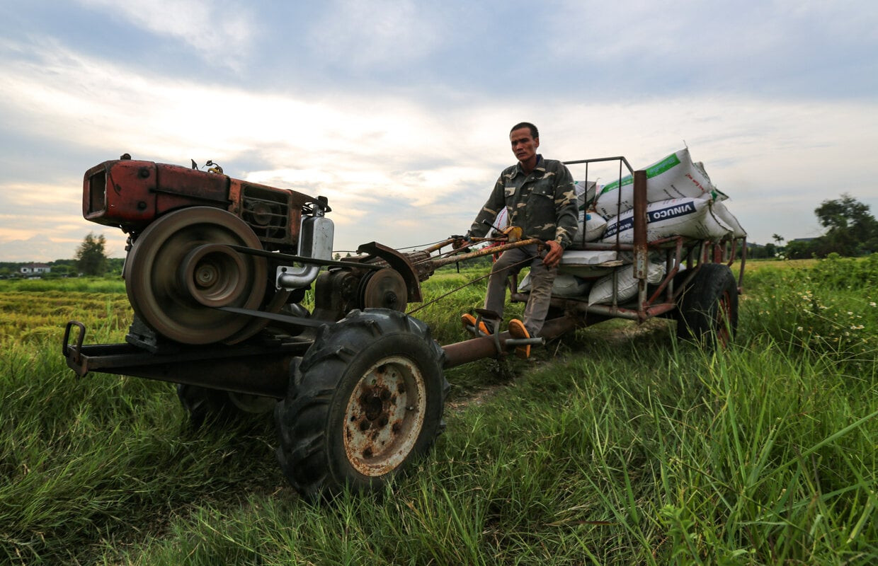 Mùa vàng trên những cánh đồng lúa đẹp như tranh vẽ ở Hà Tĩnh - 16