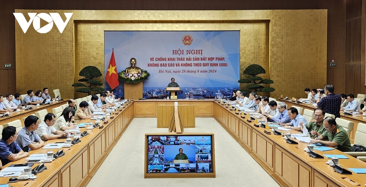 thủ tướng lãnh đạo địa phương ven biển phải chịu trách nhiệm nếu để khai thác hải sản bất hợp pháp hình ảnh 1 thu tuong lanh dao dia phuong ven bien phai chiu trach nhiem neu de khai thac hai san bat hop phap hinh anh 1