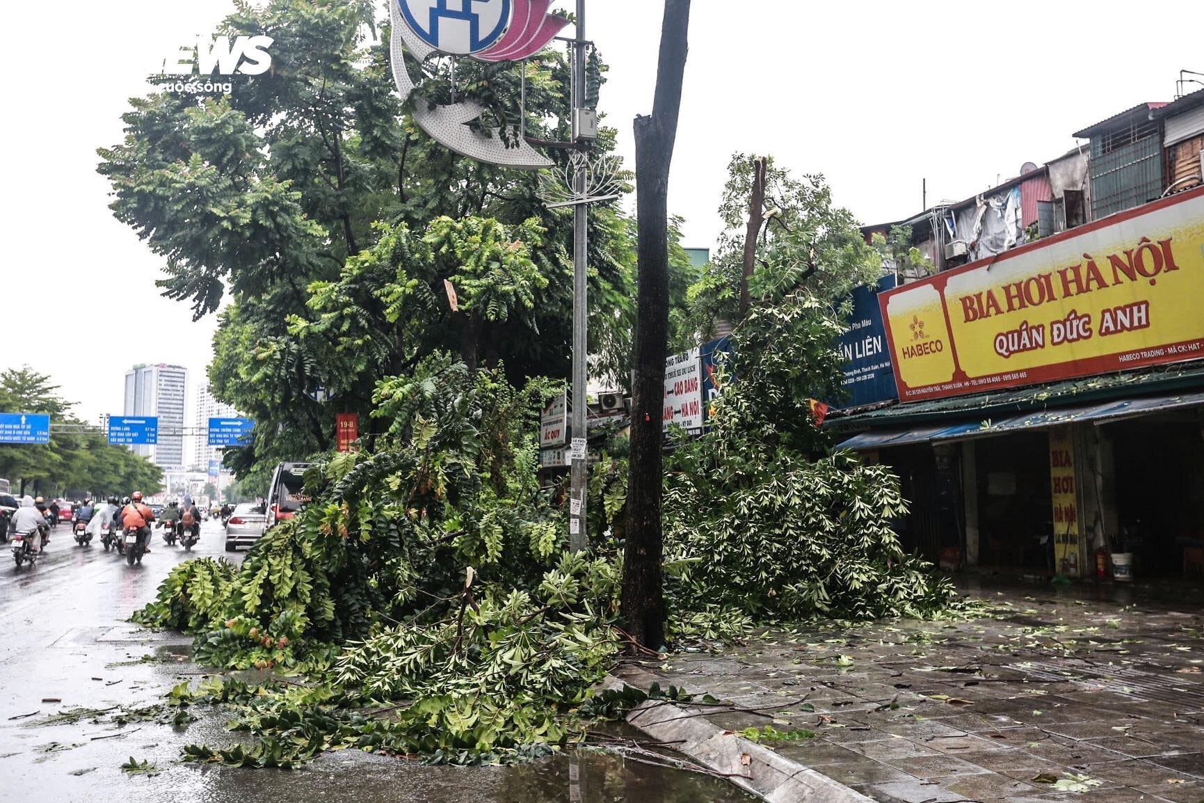 Hà Nội mưa lớn kèm dông lốc, cây cổ thụ và trụ đèn giao thông đổ la liệt - 5