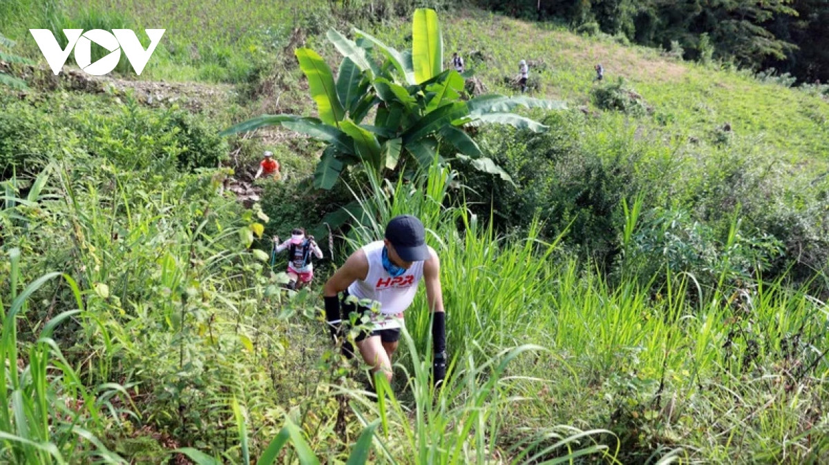 gan 600 nguoi tham gia giai chay quoc te mung quoc khanh tai lai chau hinh anh 1