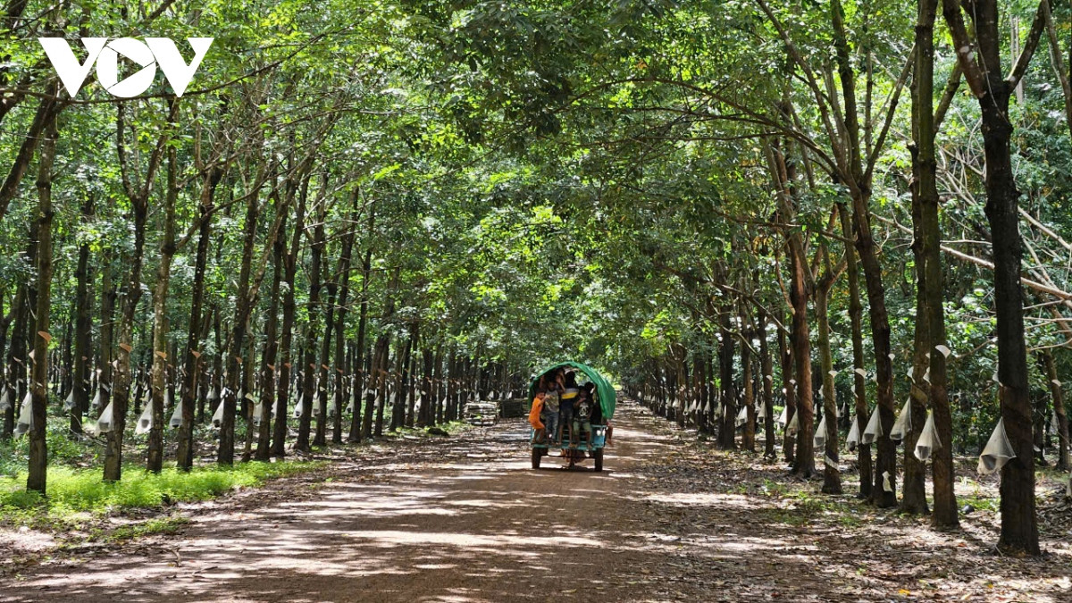 ngoi truong nho mang ten phuoc hoa-kampong thom hinh anh 13