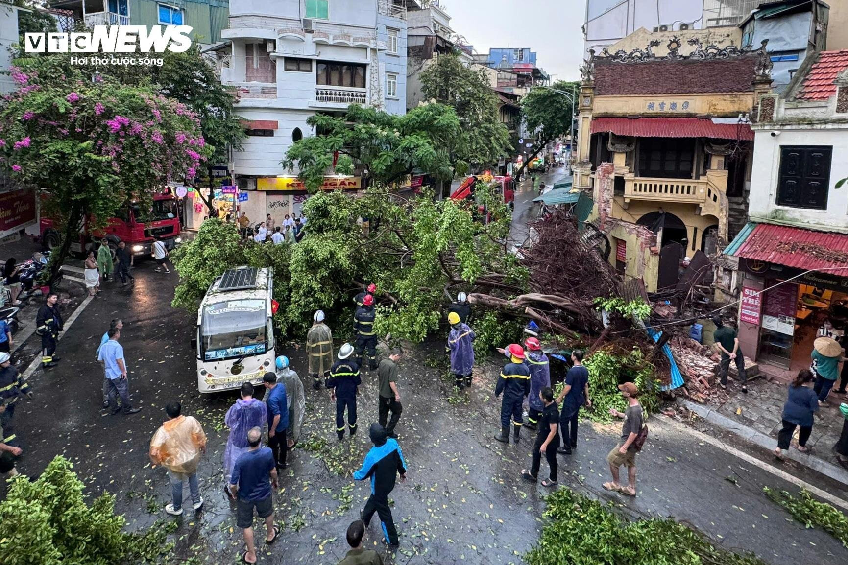 Hà Nội: Ảnh hưởng siêu bão Yagi, cây đổ khiến tường sập, ô tô bẹp dúm trên đường - 5