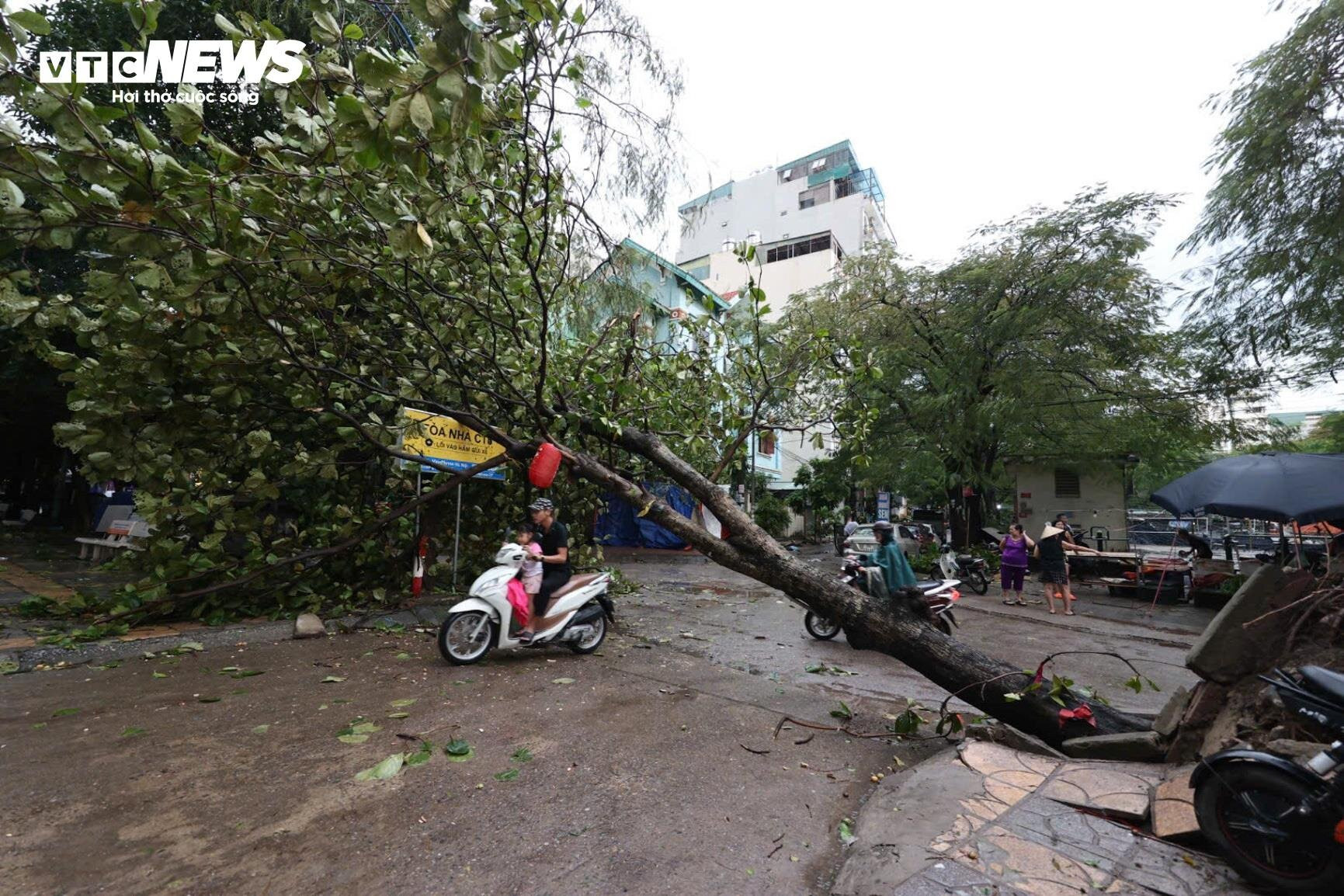 Hà Nội: Ảnh hưởng siêu bão Yagi, cây đổ khiến tường sập, ô tô bẹp dúm trên đường - 9