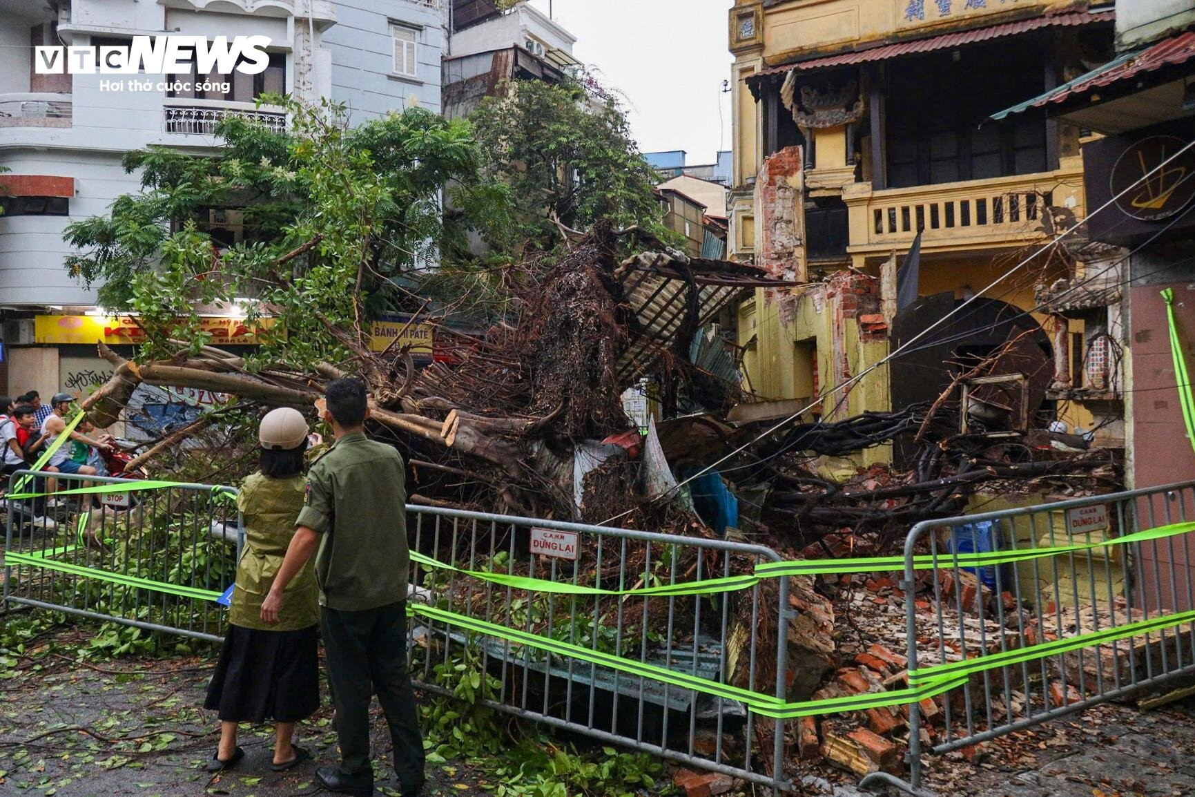 Hà Nội: Ảnh hưởng siêu bão Yagi, cây đổ khiến tường sập, ô tô bẹp dúm trên đường - 2