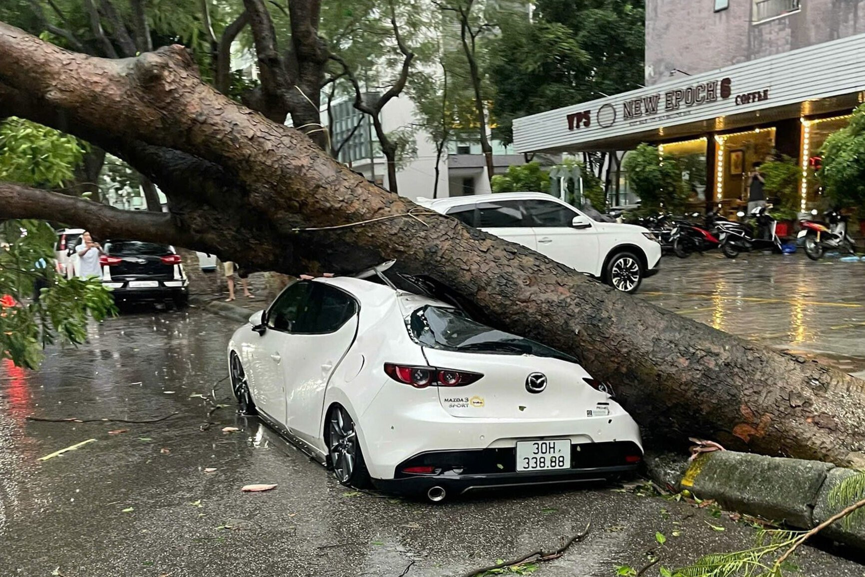 Hà Nội: Ảnh hưởng siêu bão Yagi, cây đổ khiến tường sập, ô tô bẹp dúm trên đường - 11