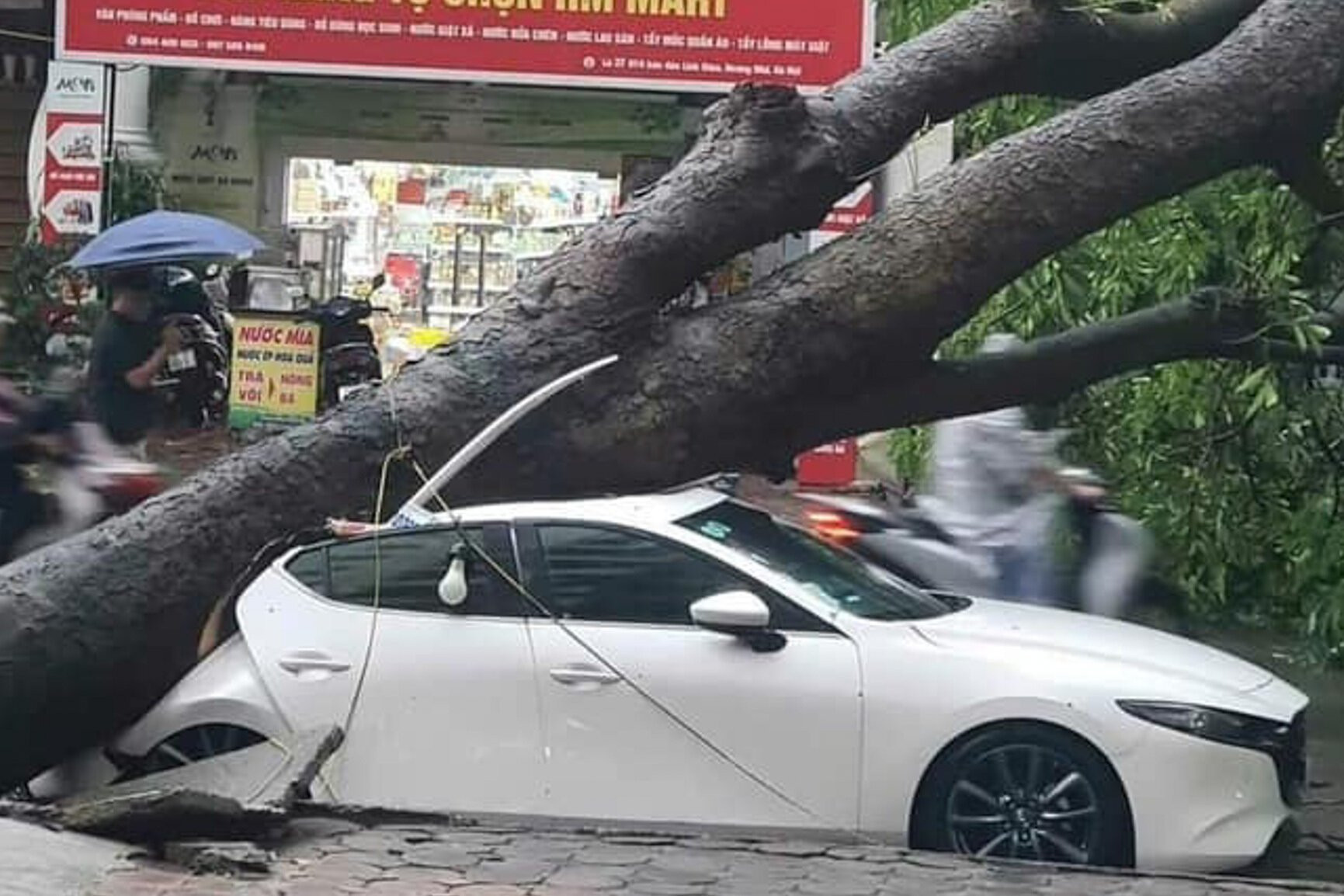 Hà Nội: Ảnh hưởng siêu bão Yagi, cây đổ khiến tường sập, ô tô bẹp dúm trên đường - 10