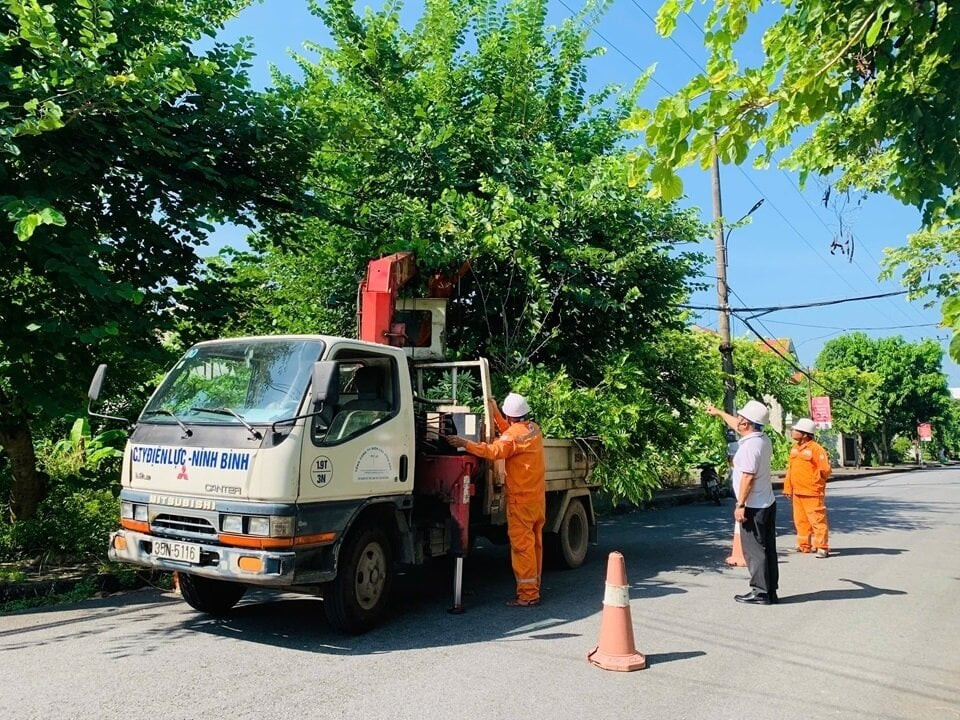 PC Ninh Bình tổ chức chặt tỉa, phát quang hành lang lưới điện.