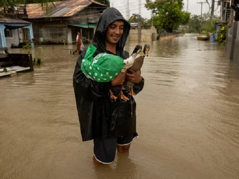 Mưa lớn do bão ở Philippines.