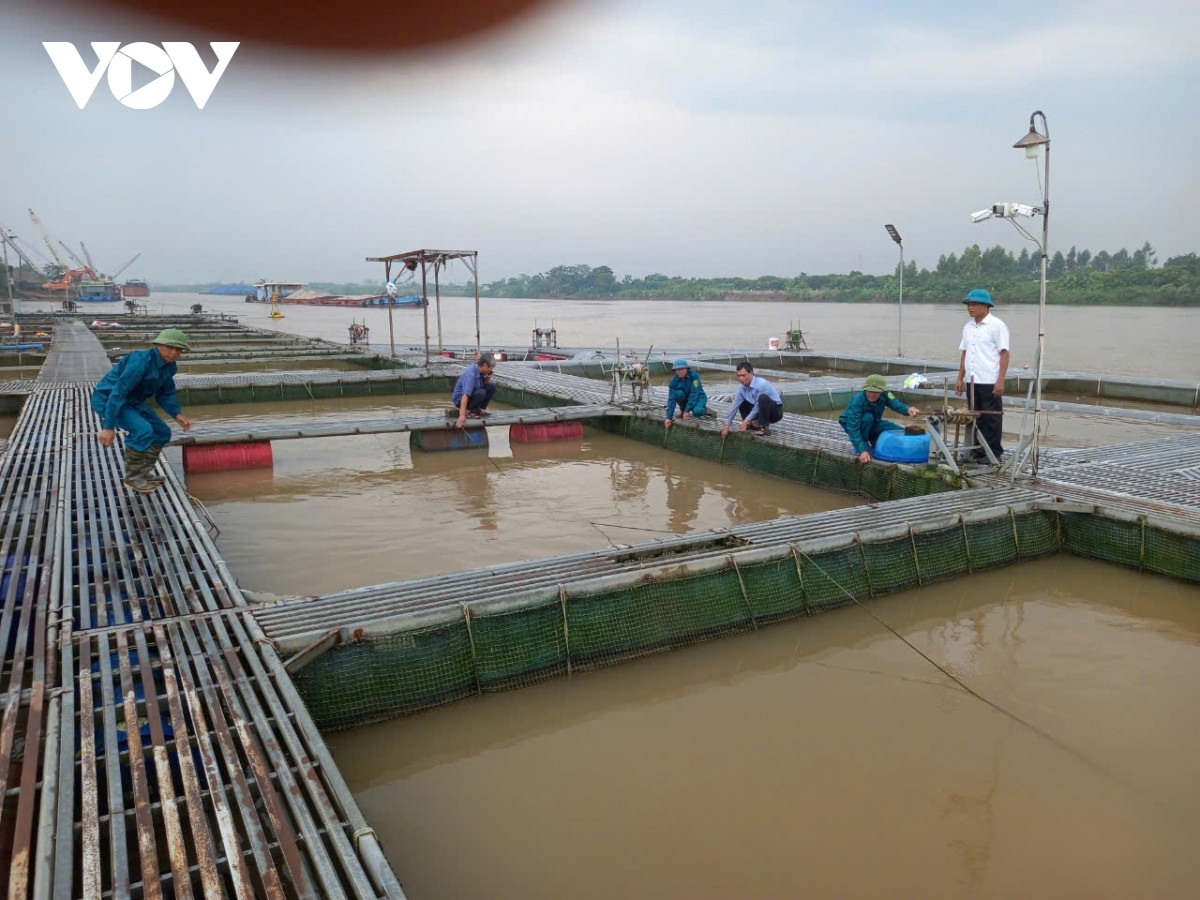 truc tiep sieu bao gay mua lon o ha noi, cay do de chet nguoi hinh anh 12