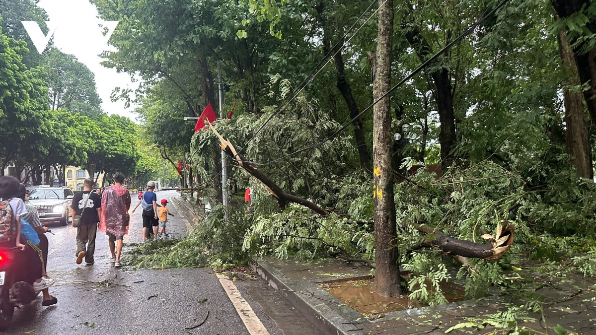 truc tiep sieu bao gay mua lon o ha noi, cay do de chet nguoi hinh anh 1