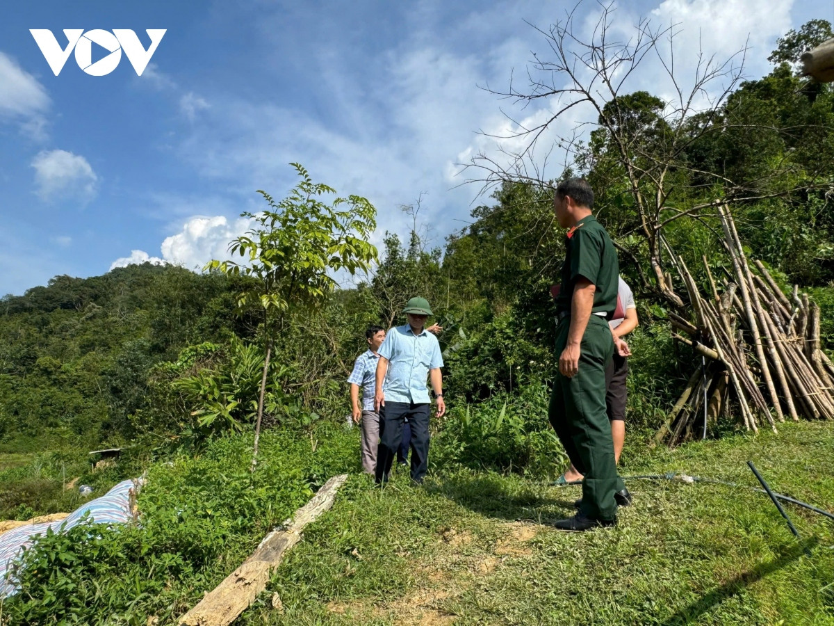 truc tiep sieu bao yagi se vao vinh bac bo nua dem nay, gio giat manh tai co to hinh anh 61