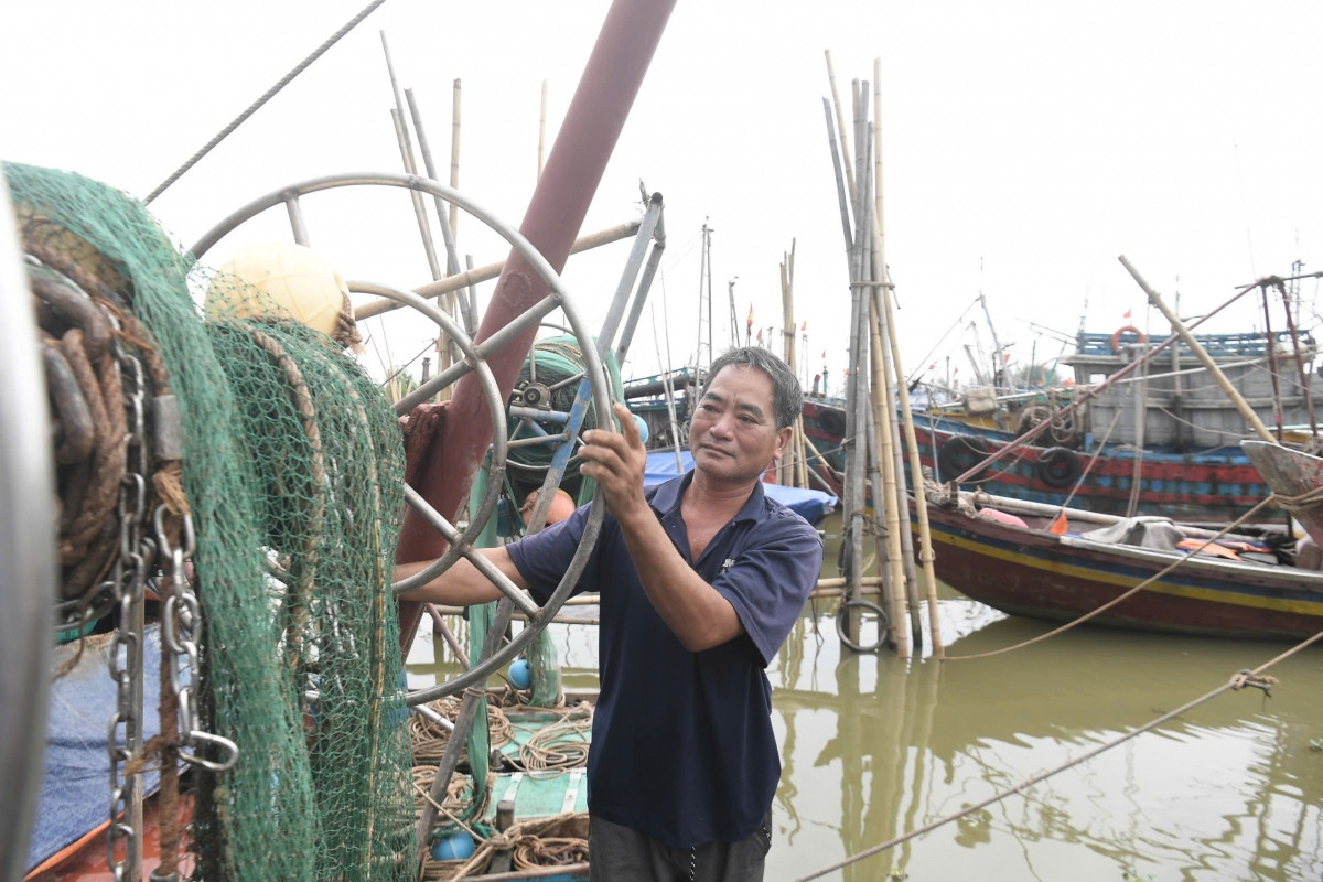 truc tiep sieu bao gay mua lon o ha noi, cay do de chet nguoi hinh anh 9