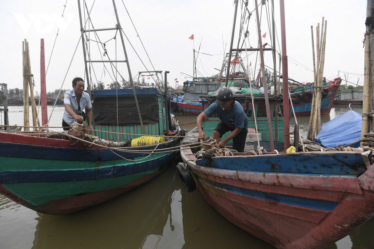 truc tiep sieu bao gay mua lon o ha noi, cay do de chet nguoi hinh anh 11