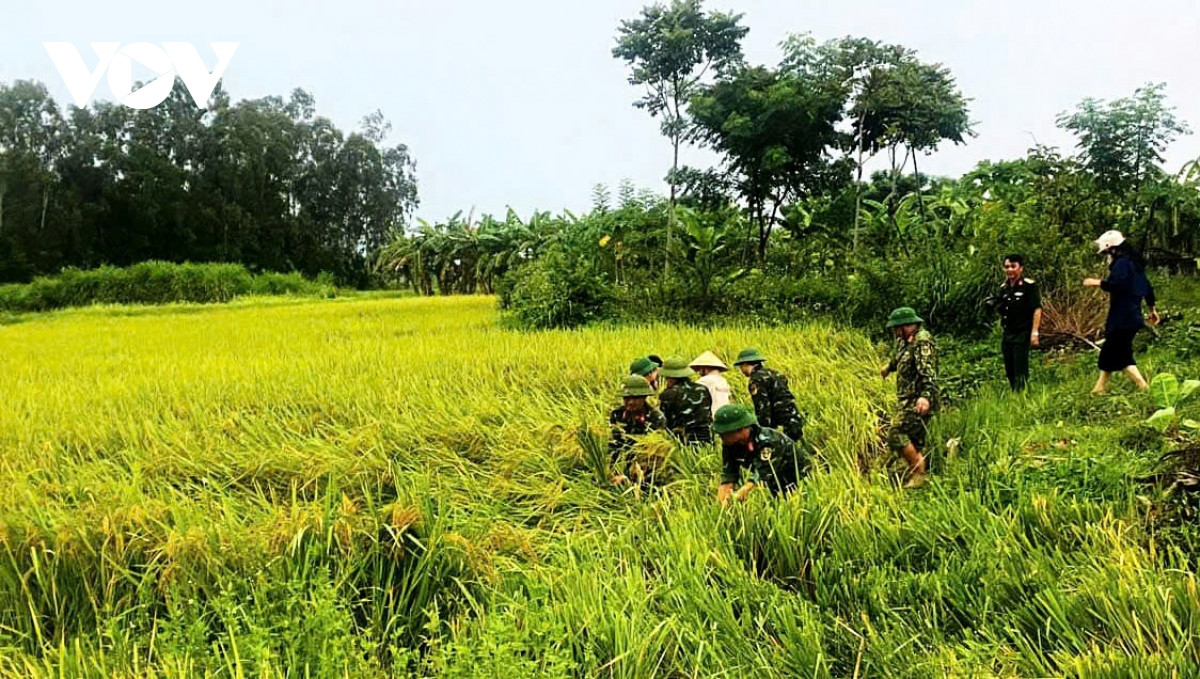 truc tiep sieu bao yagi se vao vinh bac bo nua dem nay, gio giat manh tai co to hinh anh 5