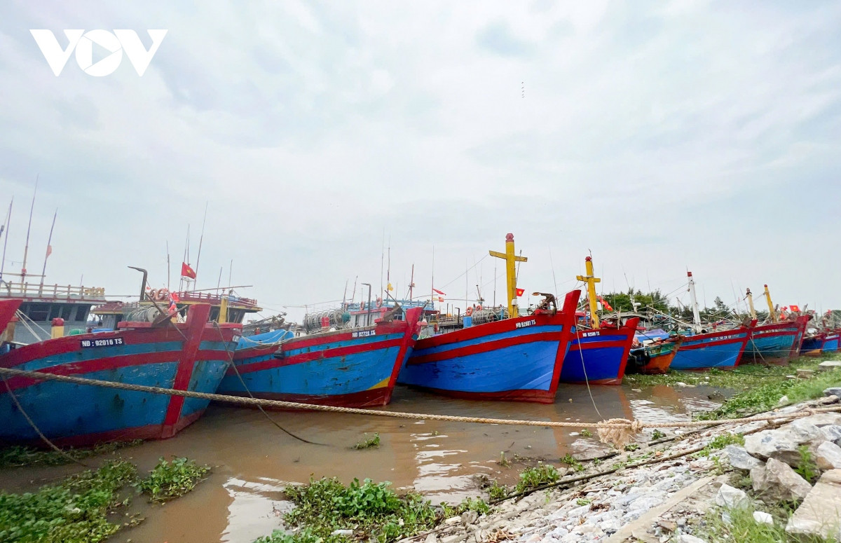 bo truong le minh hoan kiem tra cong tac ung pho bao so 3 o nam Dinh hinh anh 8