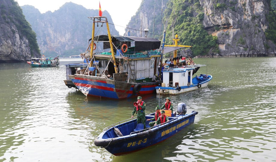 Cán bộ, chiến sĩ Bộ đội Biên phòng kêu gọi tàu thuyền vào nơi tránh trú bão số 3. (Ảnh: Báo Quảng Ninh)