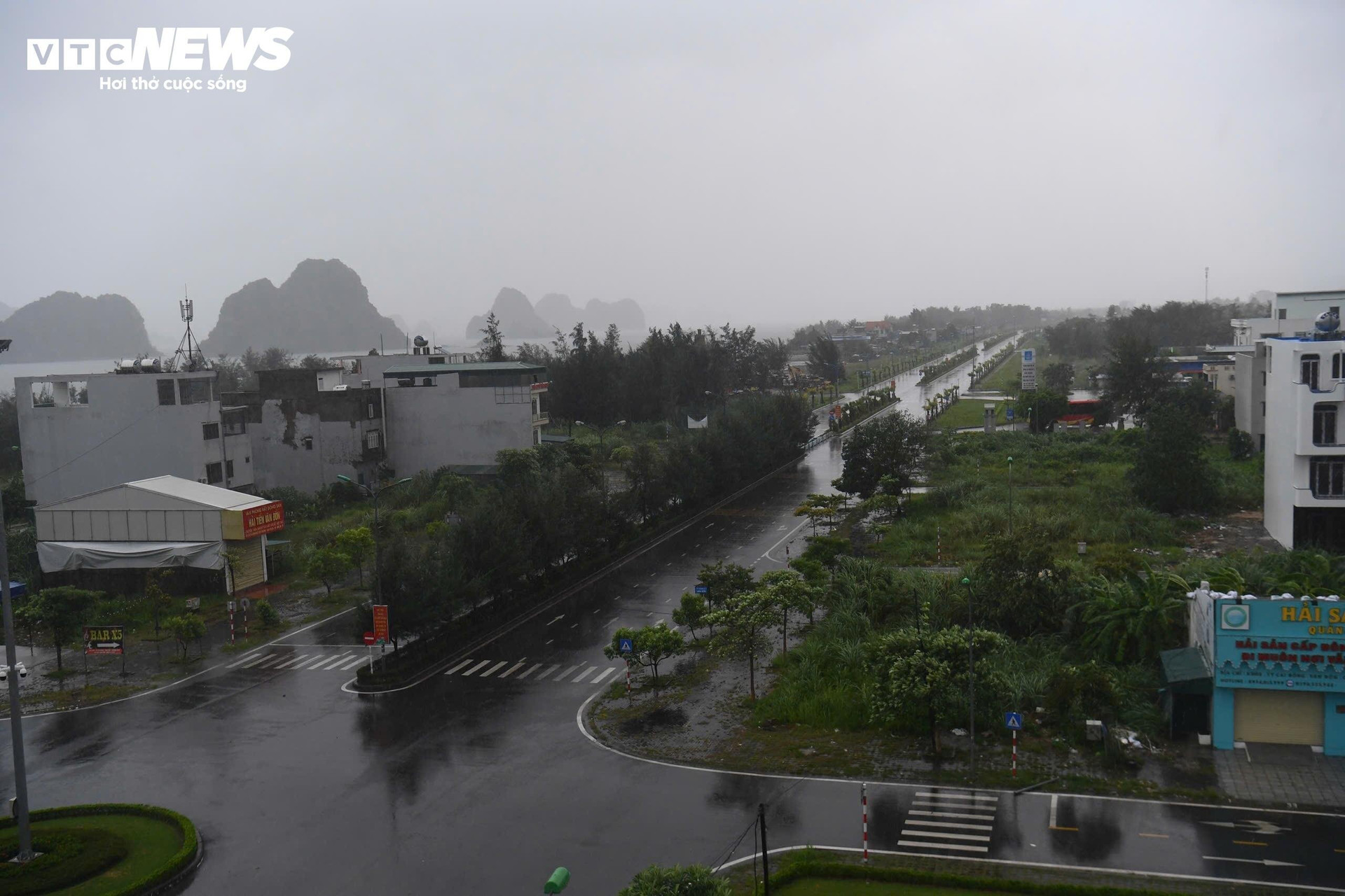 TRỰC TIẾP: Bão Yagi áp sát Quảng Ninh, mưa gió giật kinh khủng, cây đổ la liệt - 9